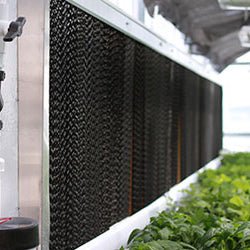 Evaporative Cooling - Greenhouse Megastore