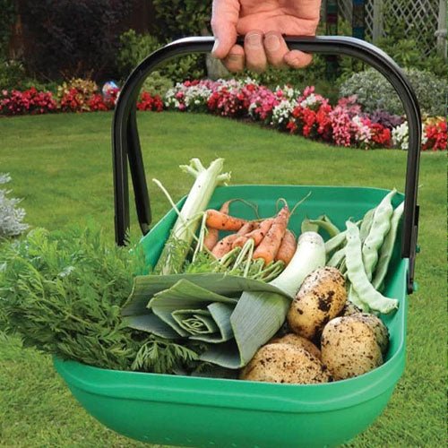Fall Harvesting & Clean-up - Greenhouse Megastore