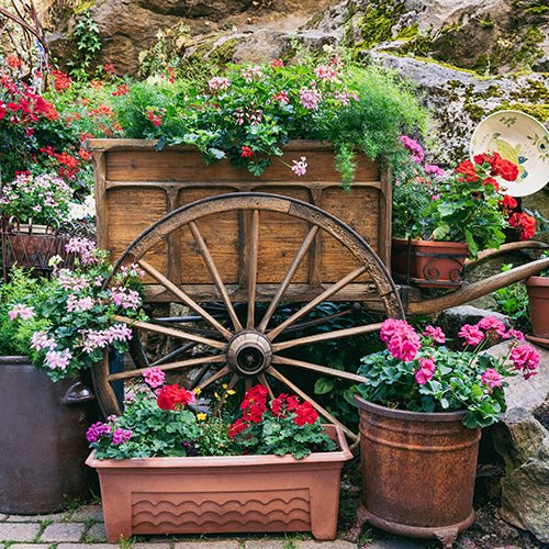 Garden Décor & Outdoor Accents - Greenhouse Megastore