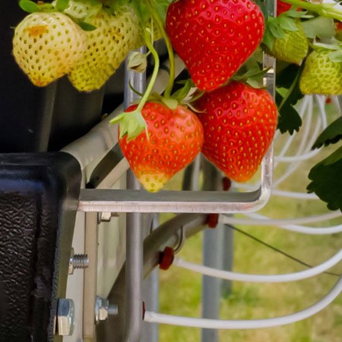 Garden & Greenhouse Irrigation, Watering & Hydroponic Systems - Greenhouse Megastore