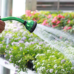 Hand Watering & Hoses