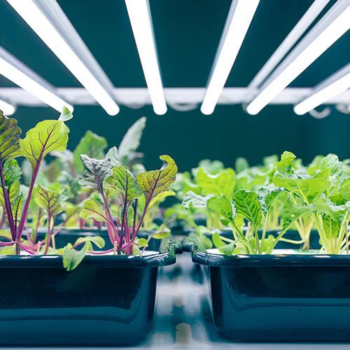 Hydroponics - Greenhouse Megastore