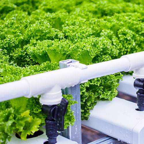 Irrigation Automation - Greenhouse Megastore