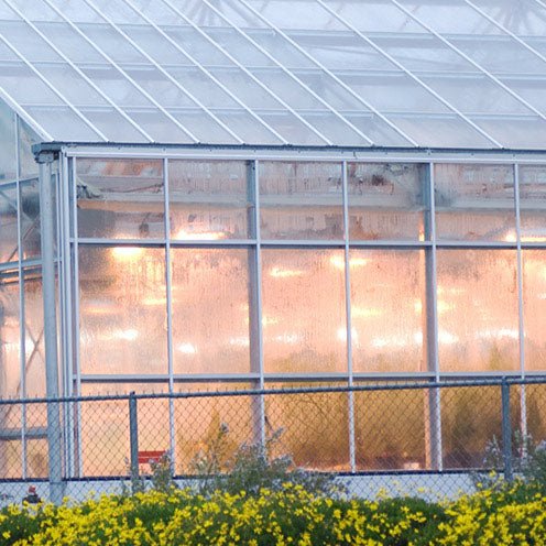 Lighting - Greenhouse Megastore