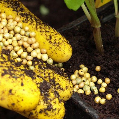 Plant Fertilizers, Nutrients & Additives for Gardens & Greenhouses - Greenhouse Megastore