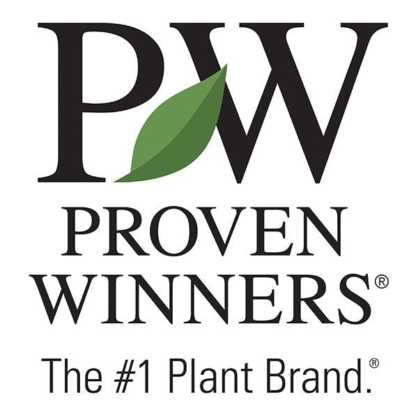 Proven Winners® - Greenhouse Megastore