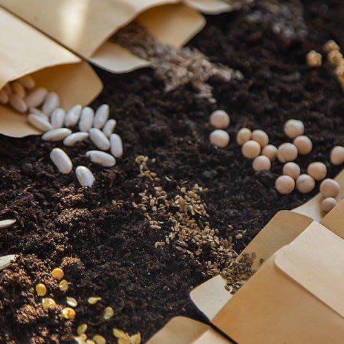 Seed Starting - Greenhouse Megastore