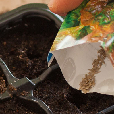 Seed Starting & Planting