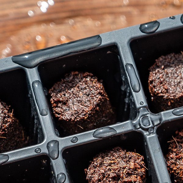 Seed Starting Trays and Flats - Greenhouse Megastore