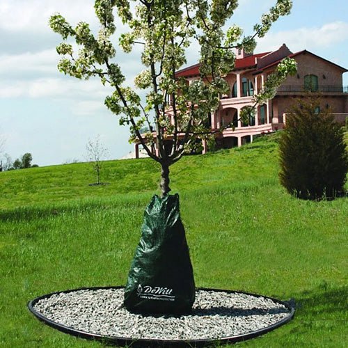 Tree Care - Greenhouse Megastore