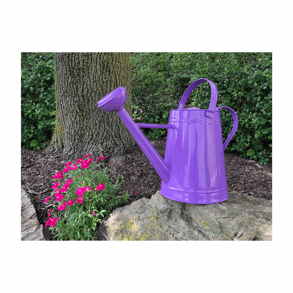 Traditional Metal Watering Can