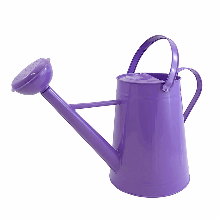 Traditional Metal Watering Can