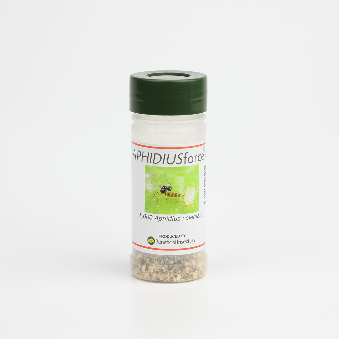 APHIDIUSforce™ C for Aphid Control