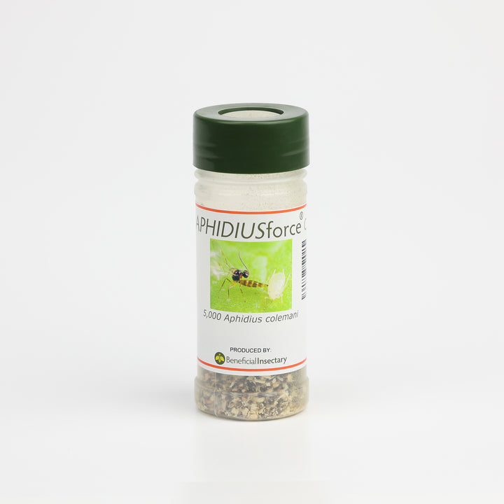 APHIDIUSforce™ C for Aphid Control