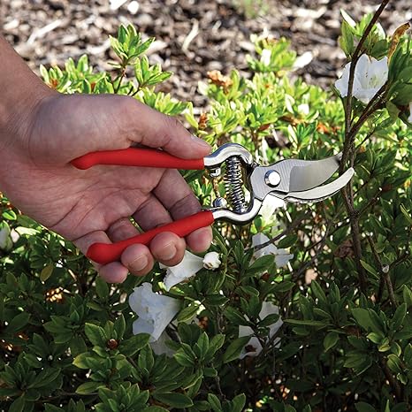 Bond Drop Forged Pruner Set - Greenhouse Megastore