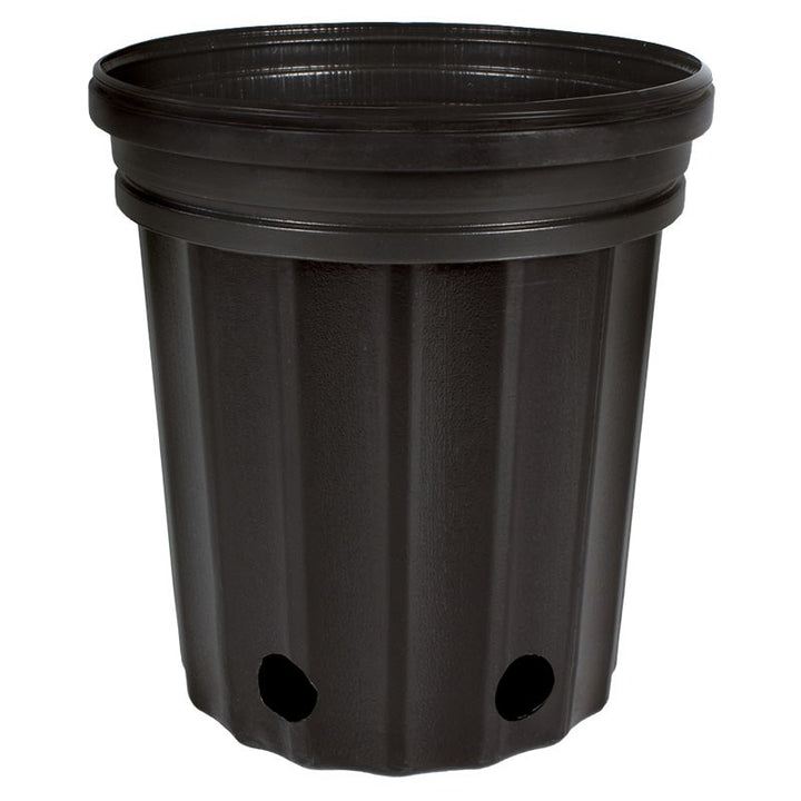 Elite Black Nursery Containers