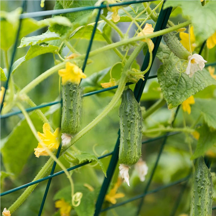 Gardener Select™ Folding A-Frame Vegetable Trellis