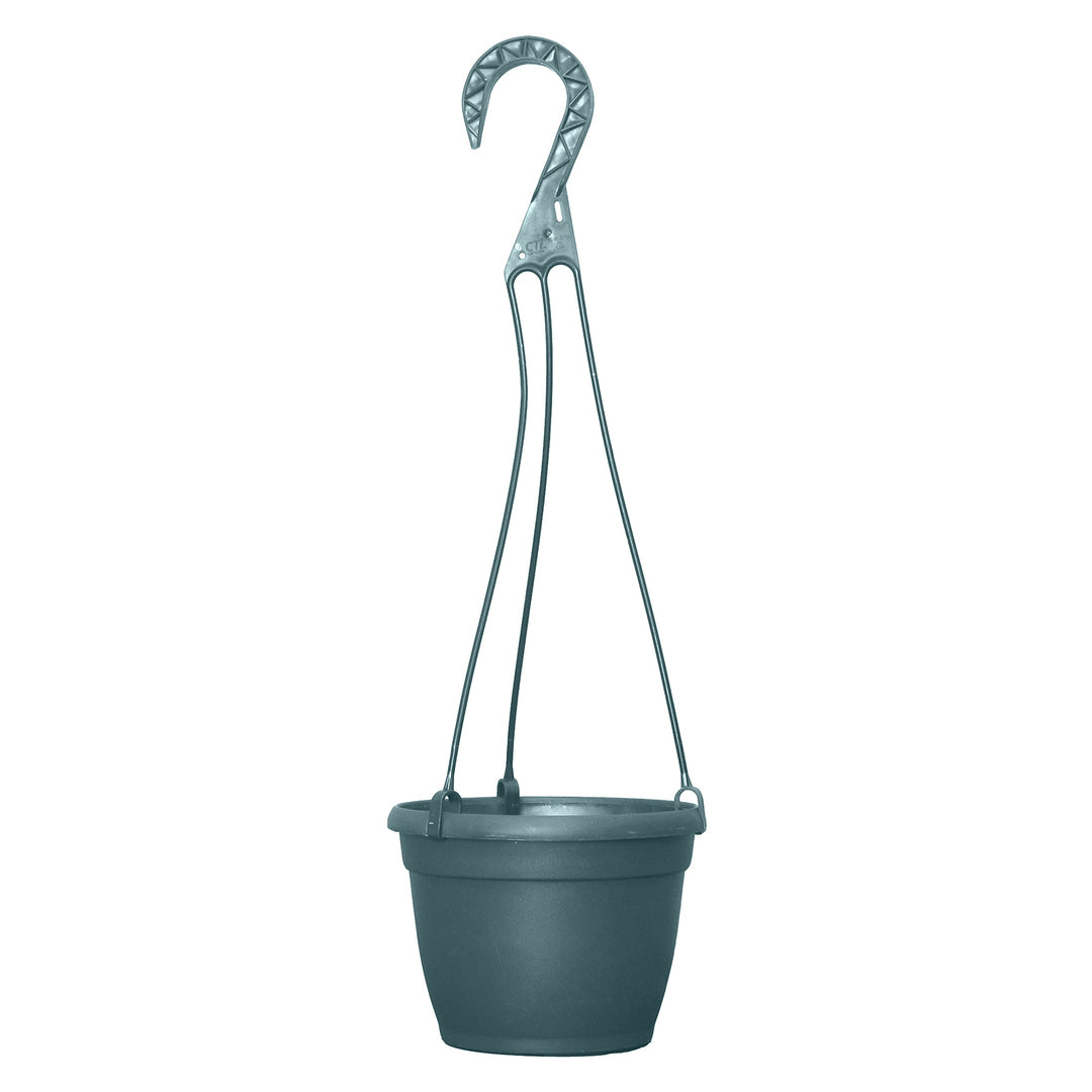 Grower Select Bella Hanging Basket