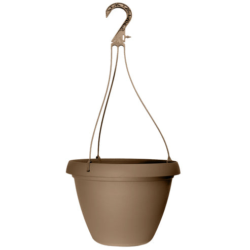 Grower Select Cove Combo Hanging Basket