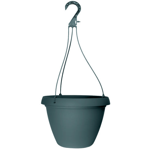 Grower Select 10 in. Cove Combo Hanging Basket