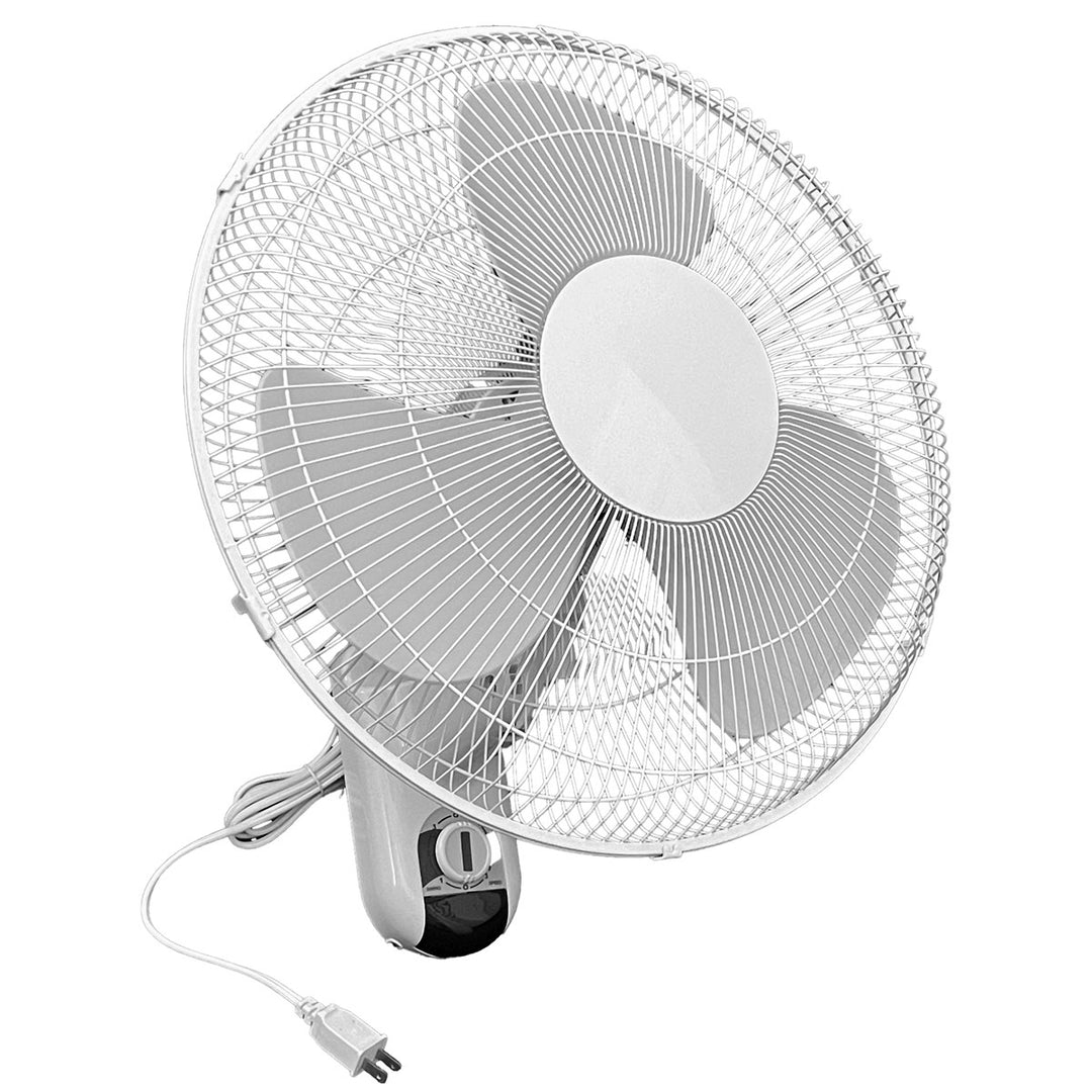 Hort2O™ Wall Mount Oscillating Fan