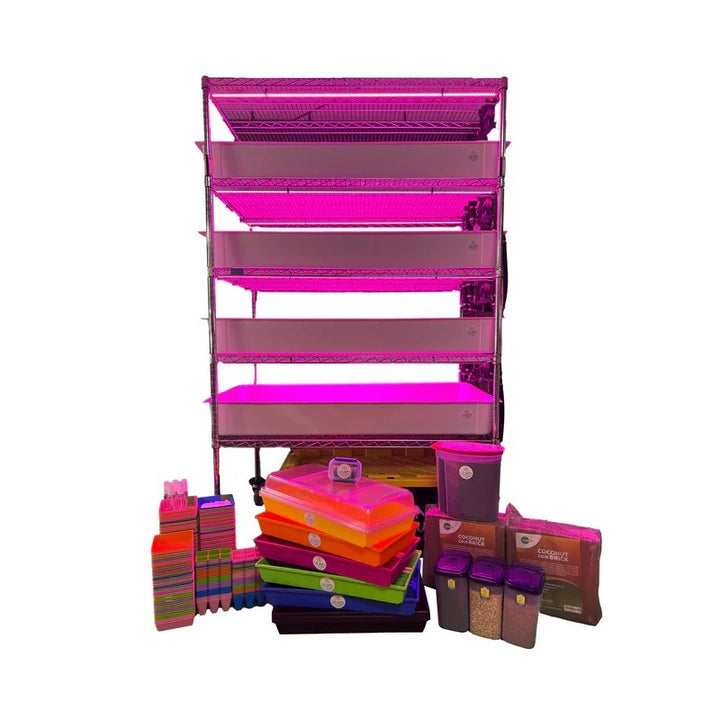 School Hydroponics System Grow Rack - STEM Education