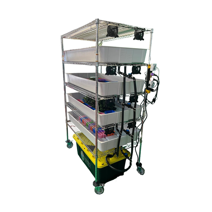 School Hydroponics System Grow Rack - STEM Education