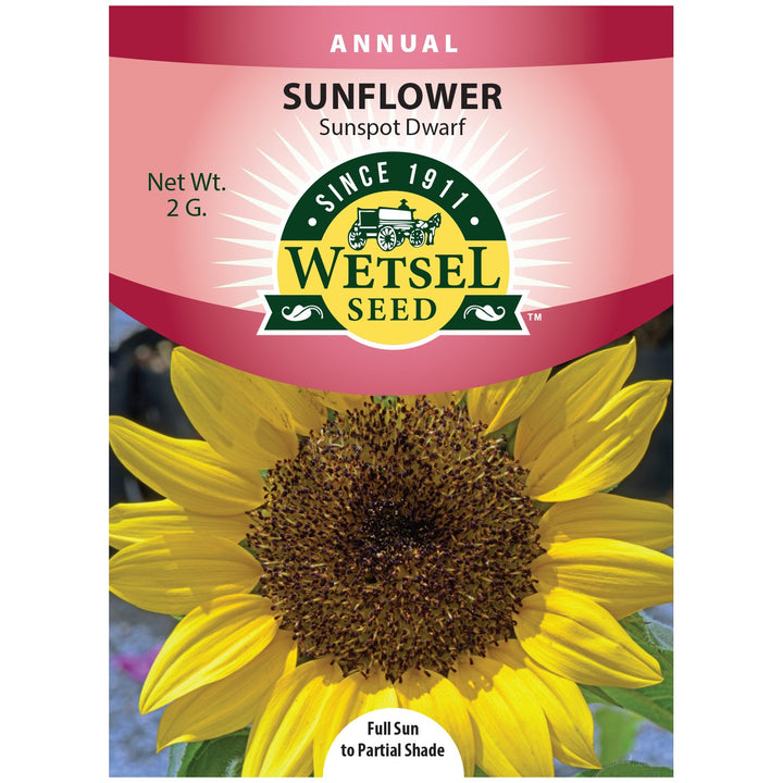 Sunspot Dwarf Sunflower Seed Packet