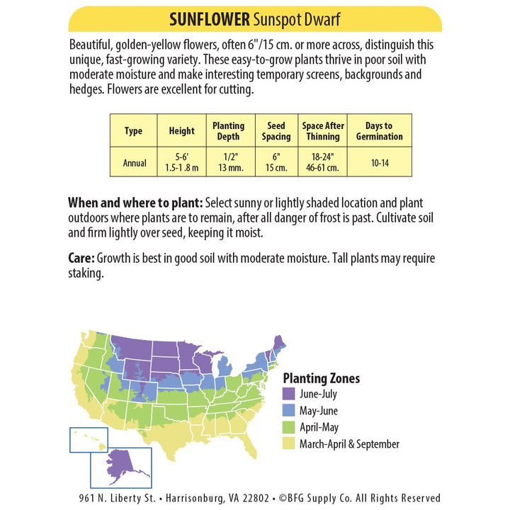 Sunspot Dwarf Sunflower Seed Packet