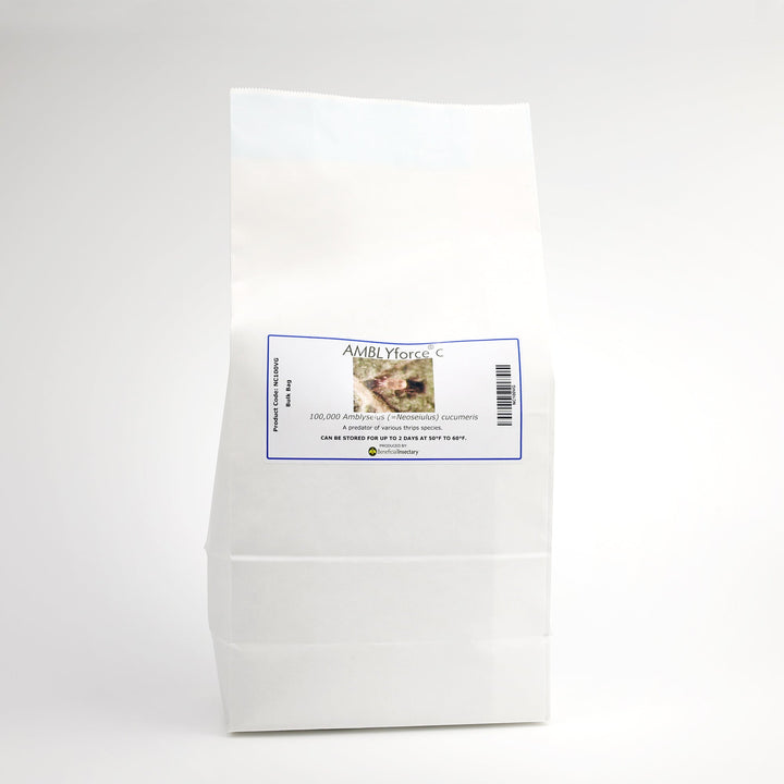AMBLYforce™ C for Thrip Control - Greenhouse Megastore