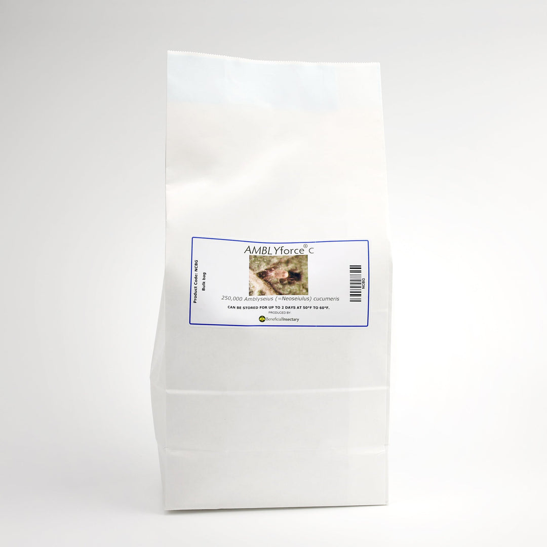 AMBLYforce™ C for Thrip Control - Greenhouse Megastore