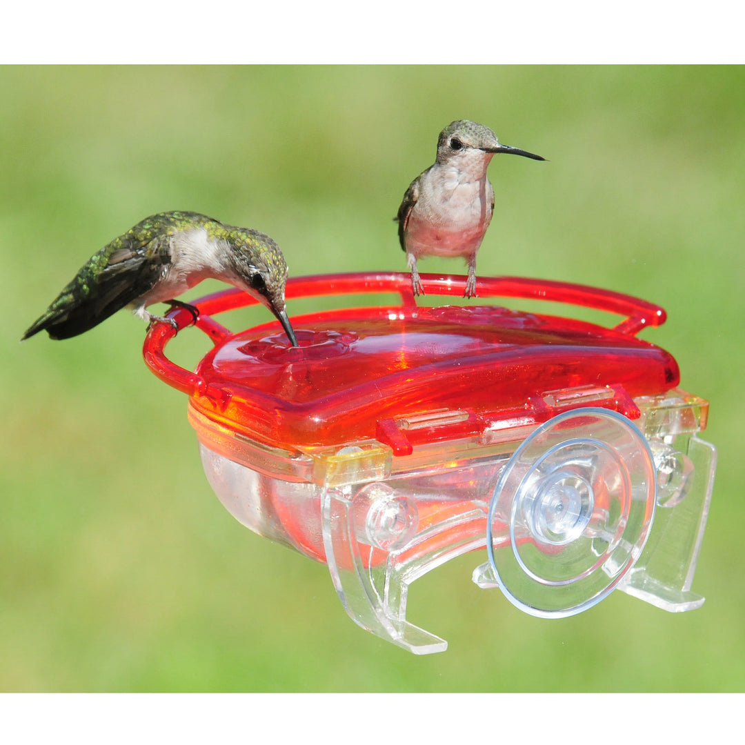 Aspects Gem Window Hummingbird Feeder - Greenhouse Megastore