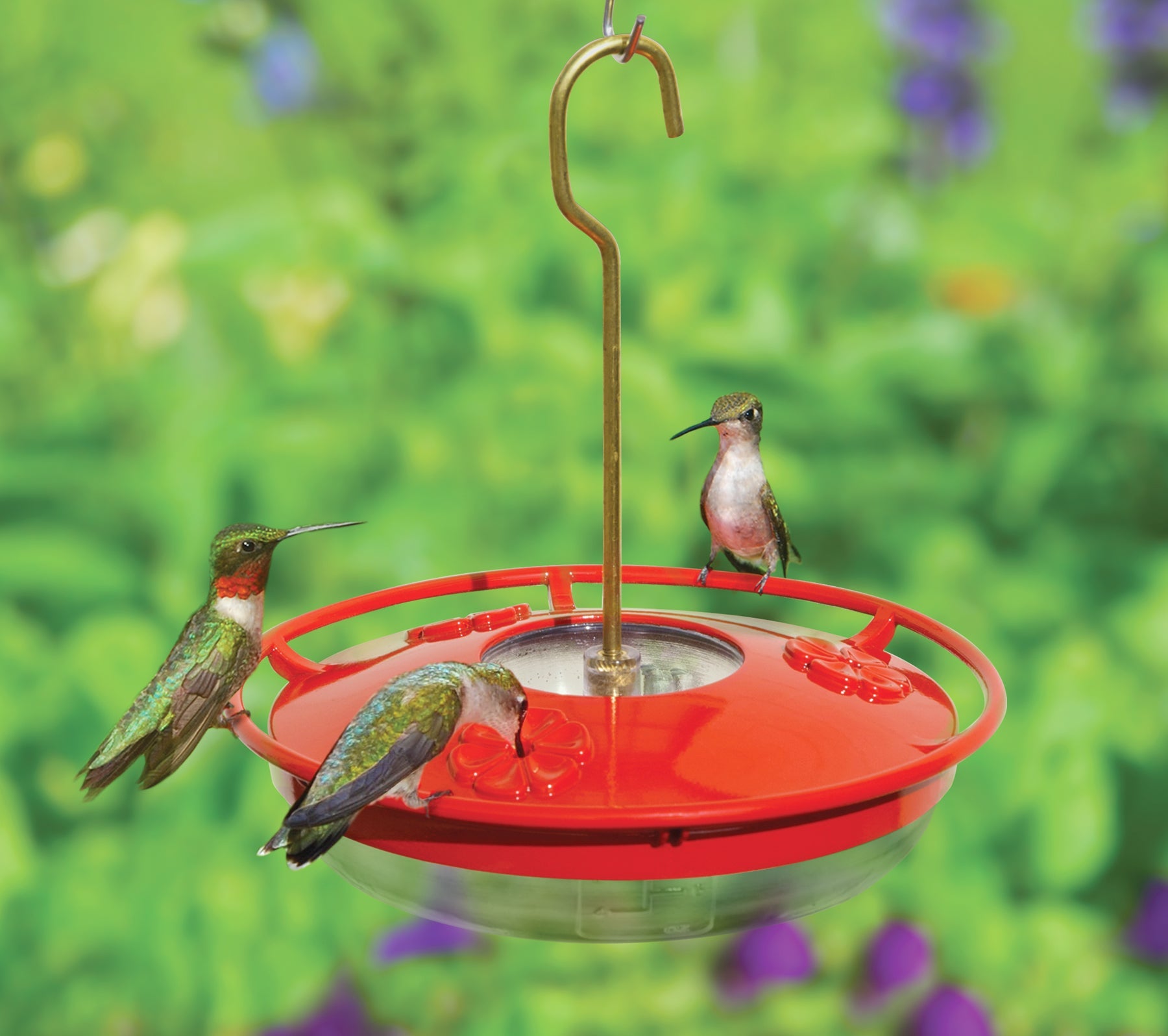 Aspects HummZinger High View Mini Feeder - Greenhouse Megastore