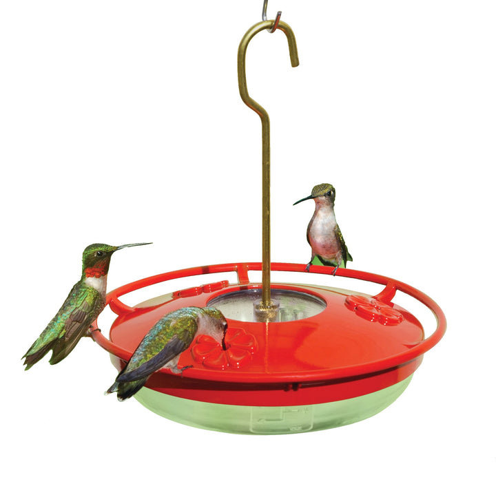 Aspects HummZinger High View Mini Hummingbird Feeder - Greenhouse Megastore