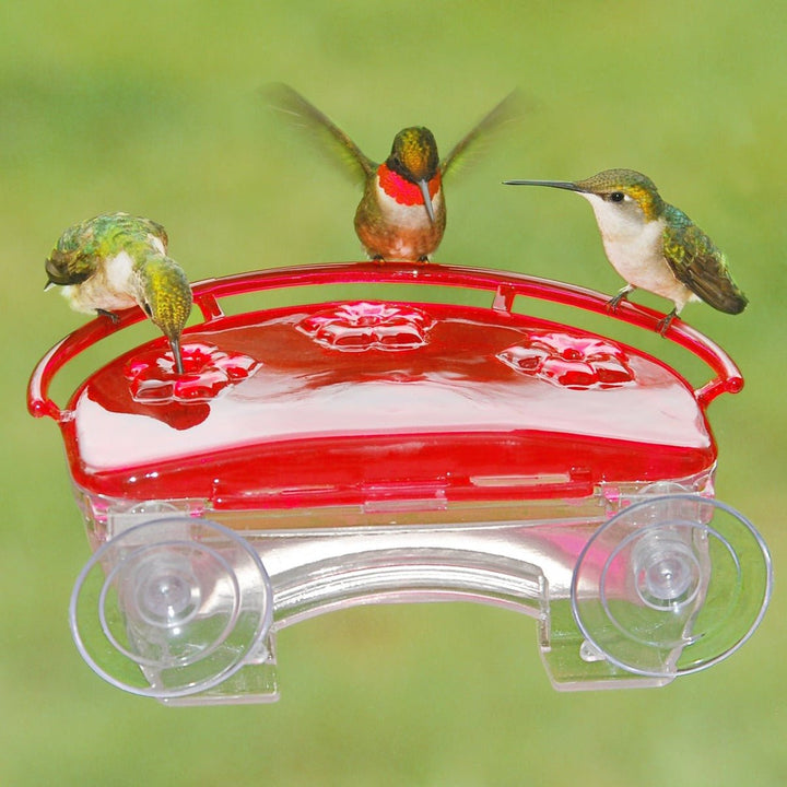 Aspects Jewel Box Window Hummingbird Feeder - Greenhouse Megastore