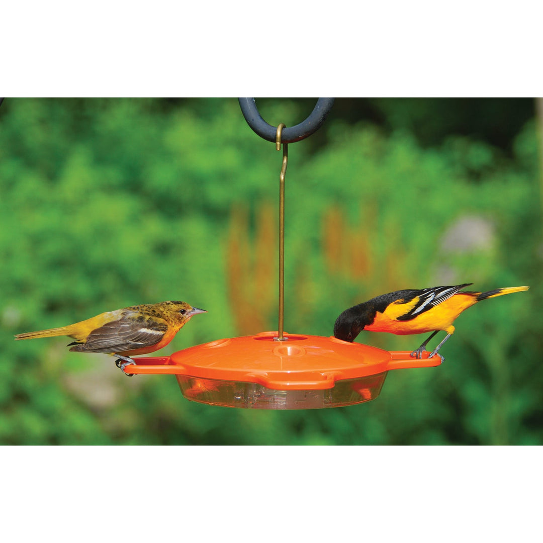 Aspects Oriole Bird Feeder - Greenhouse Megastore