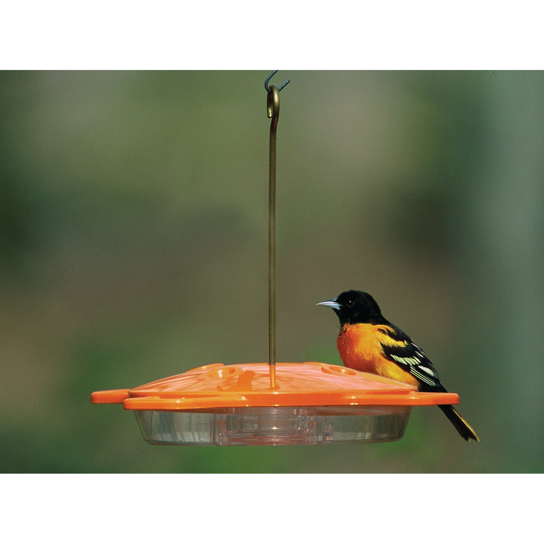 Aspects Oriole Bird Feeder - Greenhouse Megastore