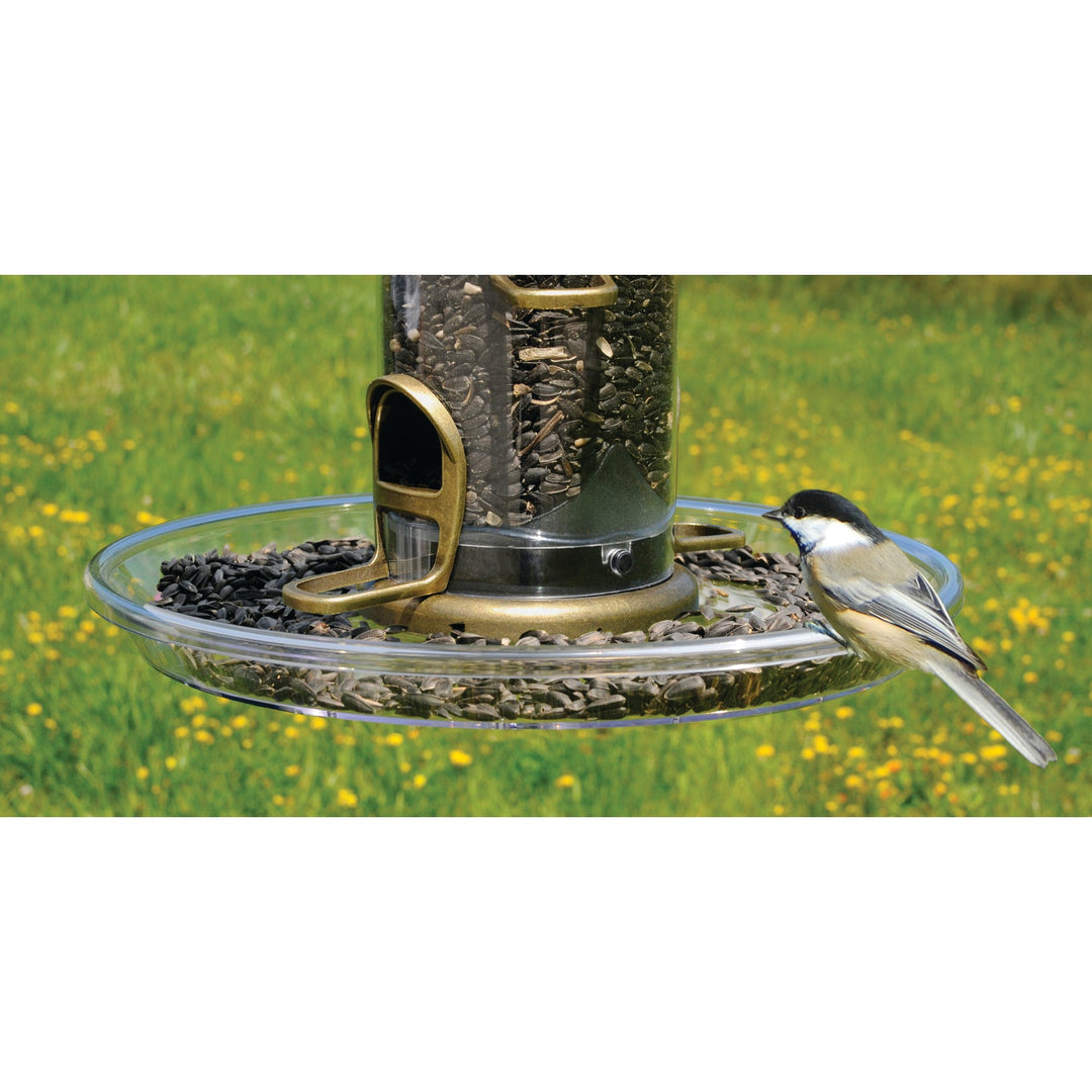 Aspects Quick Clean Bigfoot Seed Tray - Greenhouse Megastore