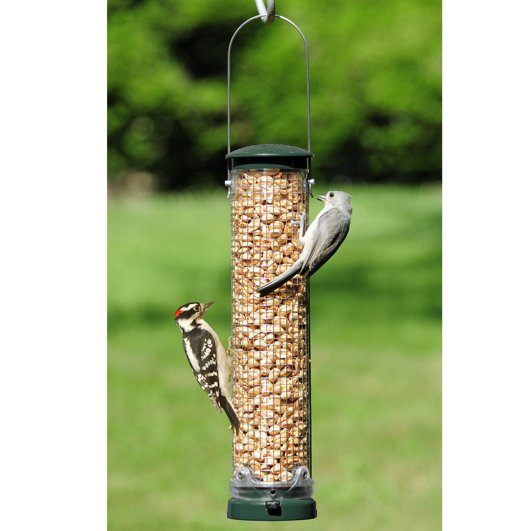 Aspects Quick Clean Spruce Peanut Mesh Feeder - Greenhouse Megastore