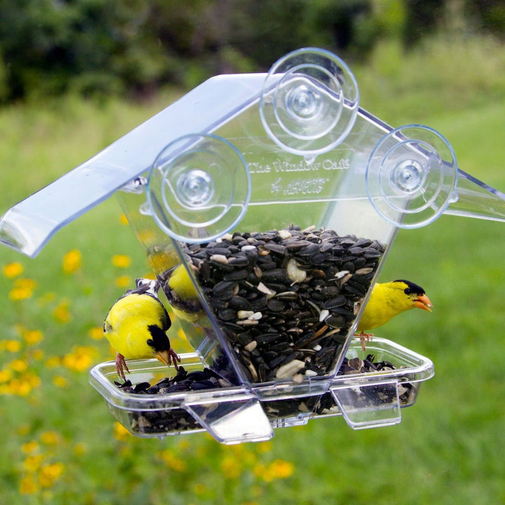 Aspects Window Cafe Bird Feeder Hopper Style - Greenhouse Megastore