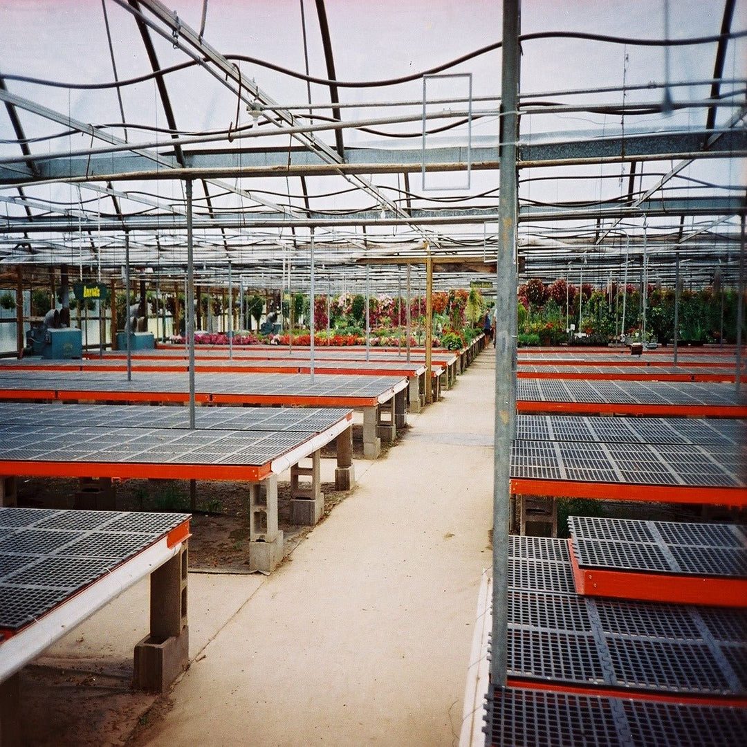 AV Lifetime Bench Top - No Legs - Greenhouse Megastore