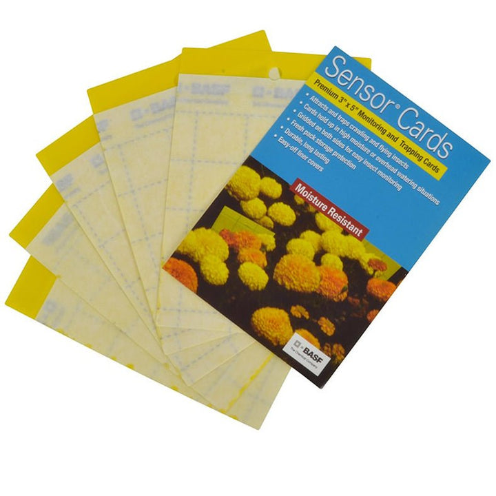BASF Sensor Sticky Cards - Greenhouse Megastore