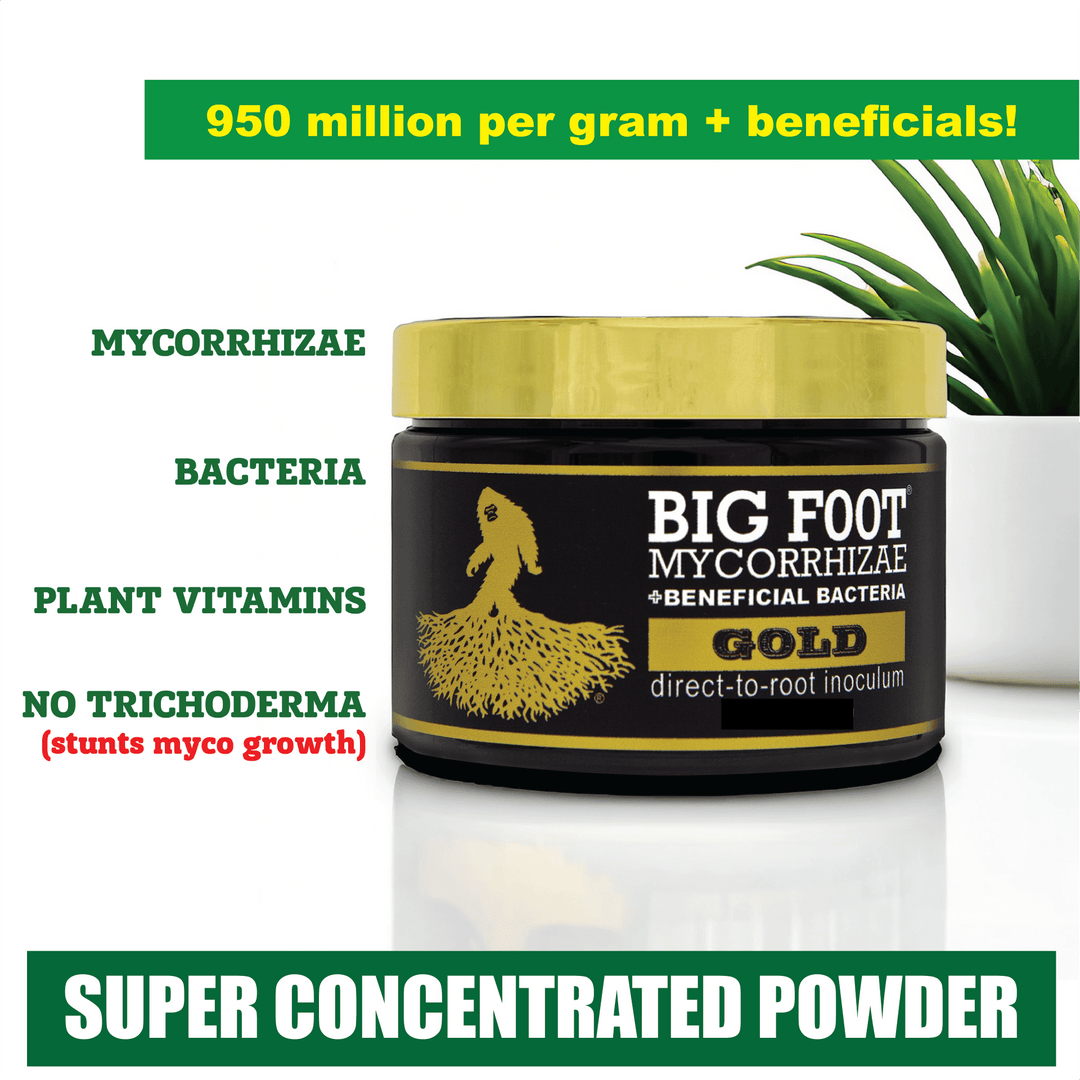 Big Foot™ Mycorrhizae Gold - Greenhouse Megastore