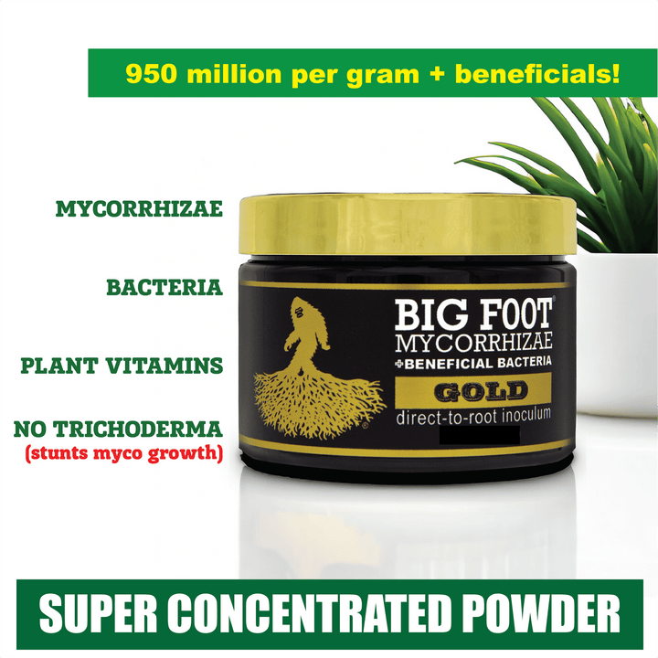 Big Foot™ Mycorrhizae Gold - Greenhouse Megastore