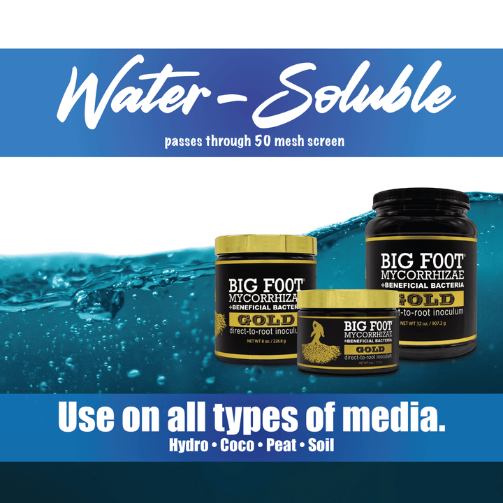 Big Foot™ Mycorrhizae Gold - Greenhouse Megastore