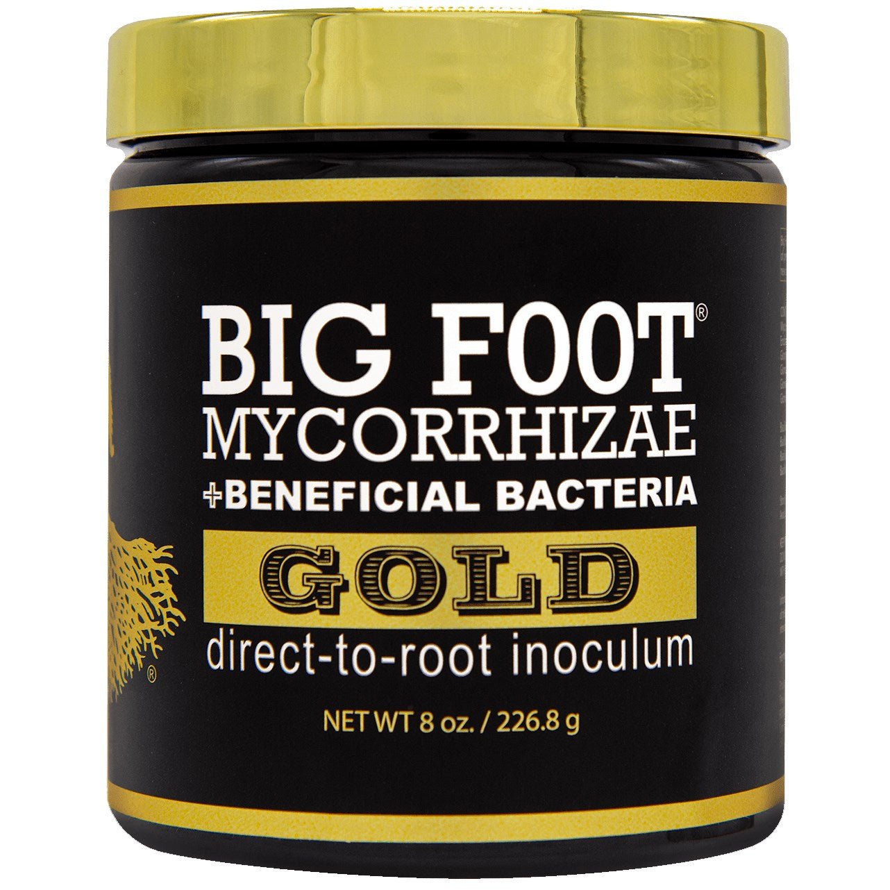 Big Foot Mycorrhizae