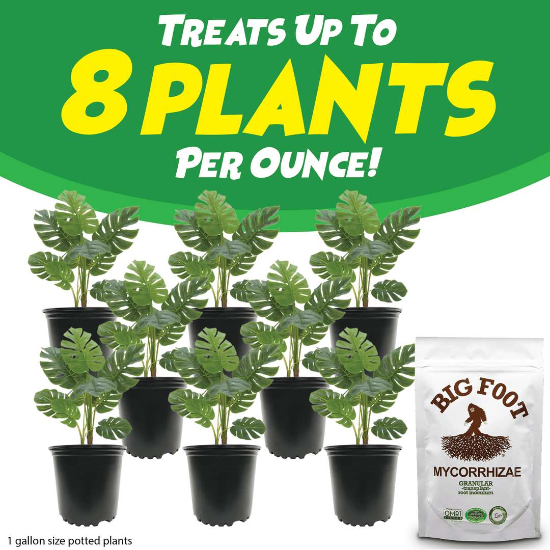 Big Foot™ Mycorrhizae Granular - Greenhouse Megastore