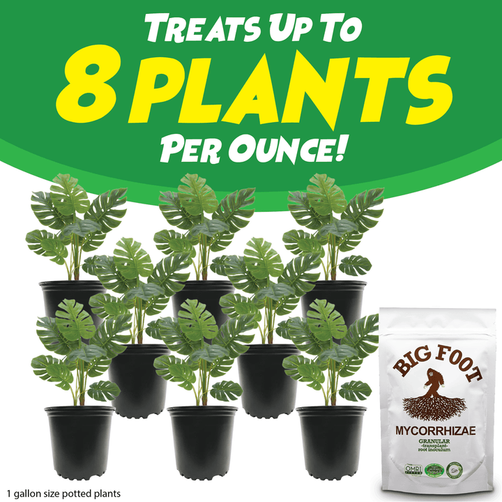 Big Foot™ Mycorrhizae Granular - Greenhouse Megastore