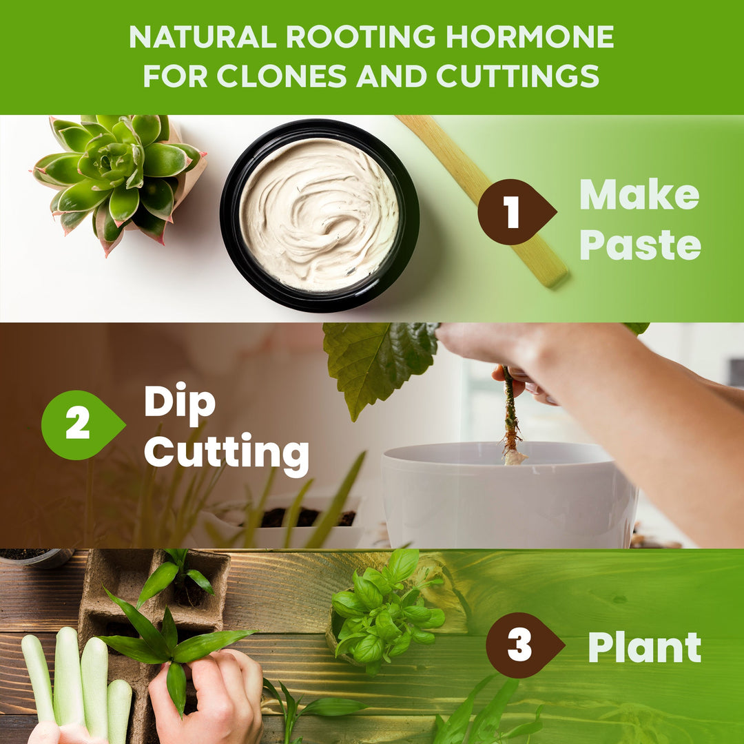 Big Foot™ Root Boost - Greenhouse Megastore