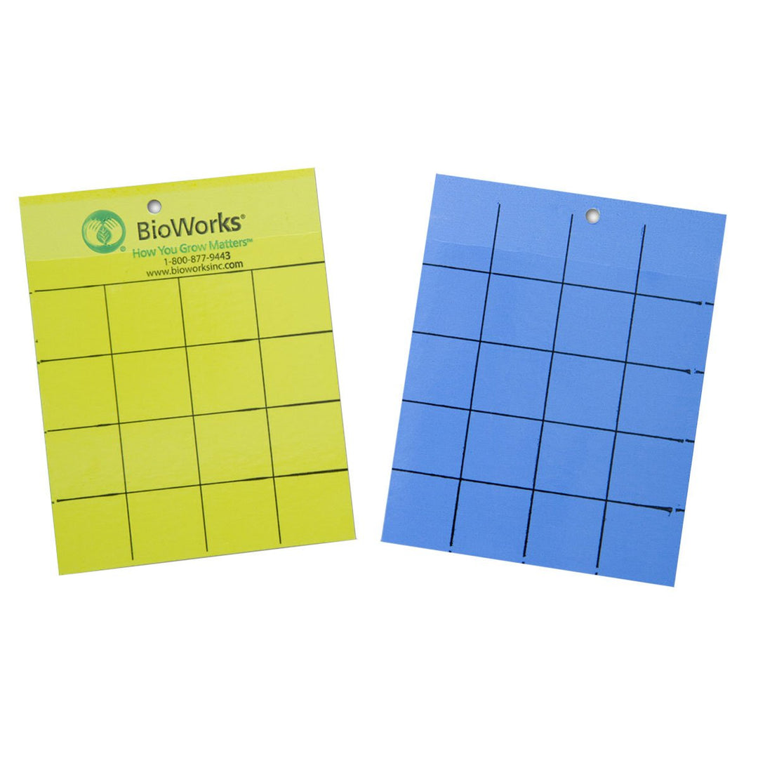 Blue/Yellow Sticky Card - Pack of 10 - Greenhouse Megastore